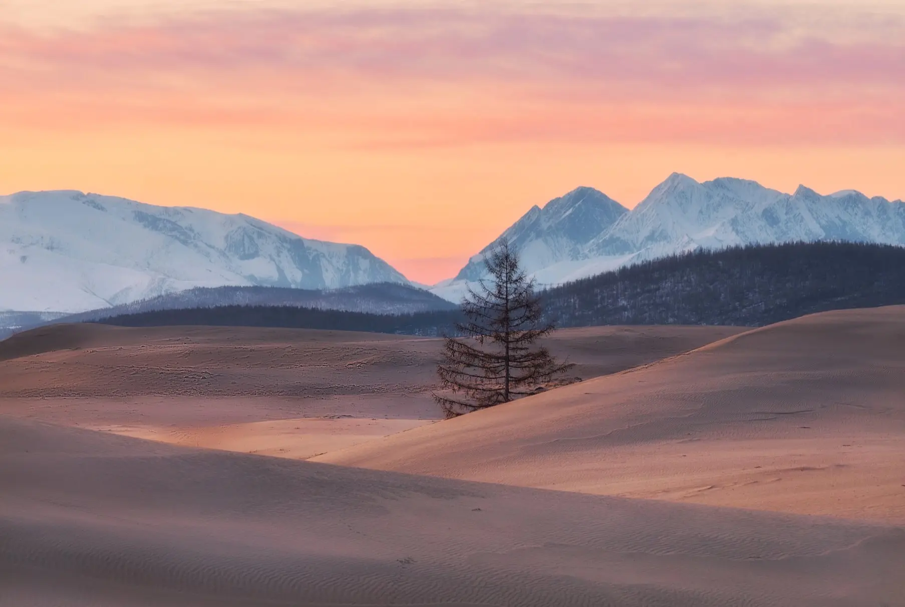 Рассвет среди Чарских песков, Забайкальский край. 

📷  Автор фото Дмитрий Шишкин

Мы в Контакте

#k