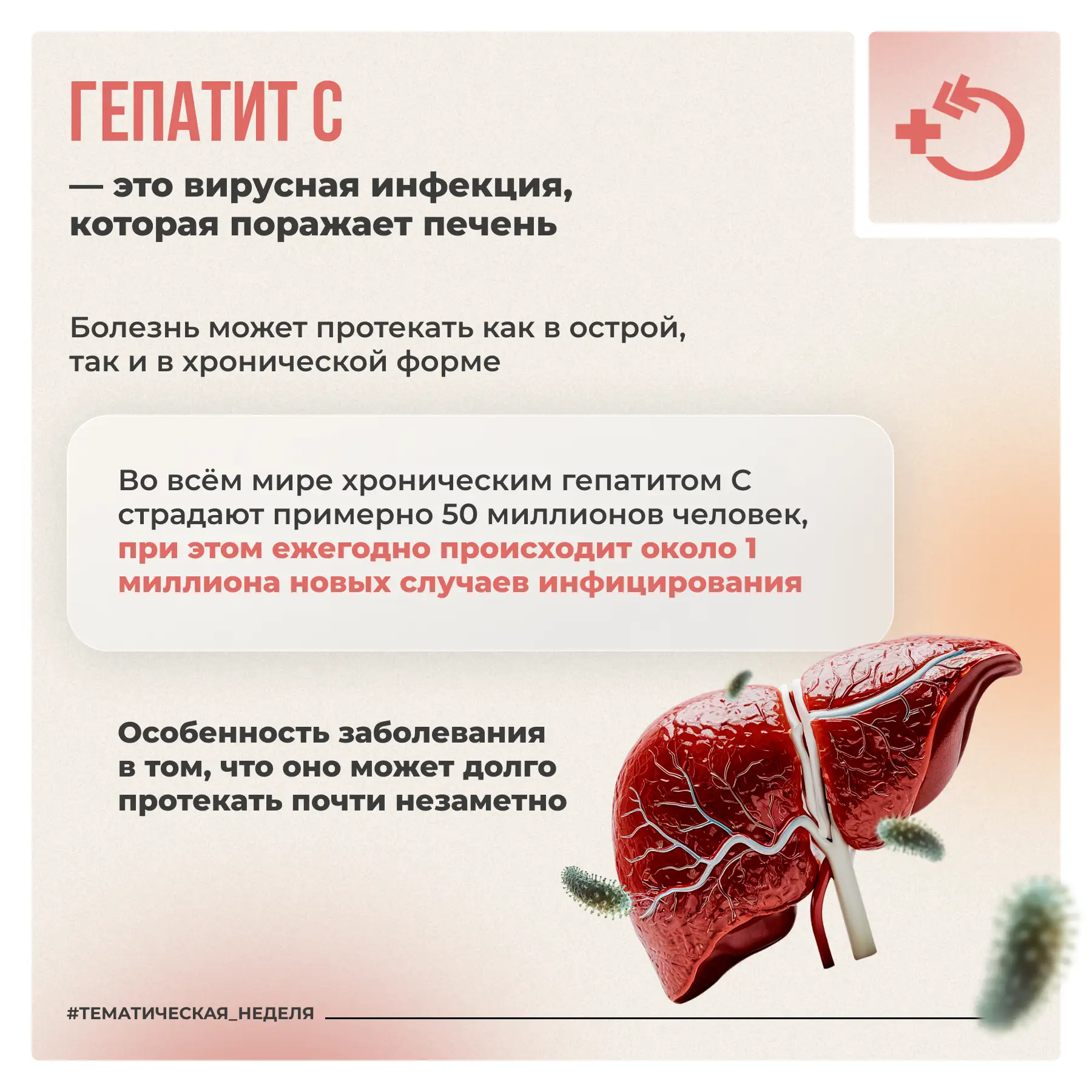 Печень – один из главных органов обмена веществ. Она участвует в очищении организма, выработке важны