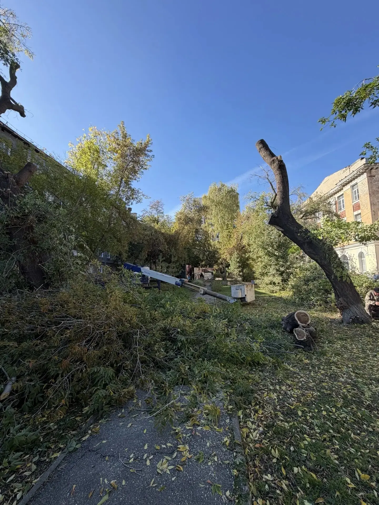 🌳 Старт работ в Императорском сквере