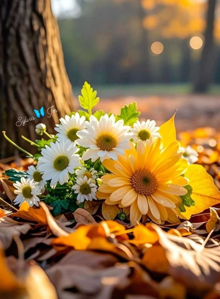 Доброе утро! 🌞