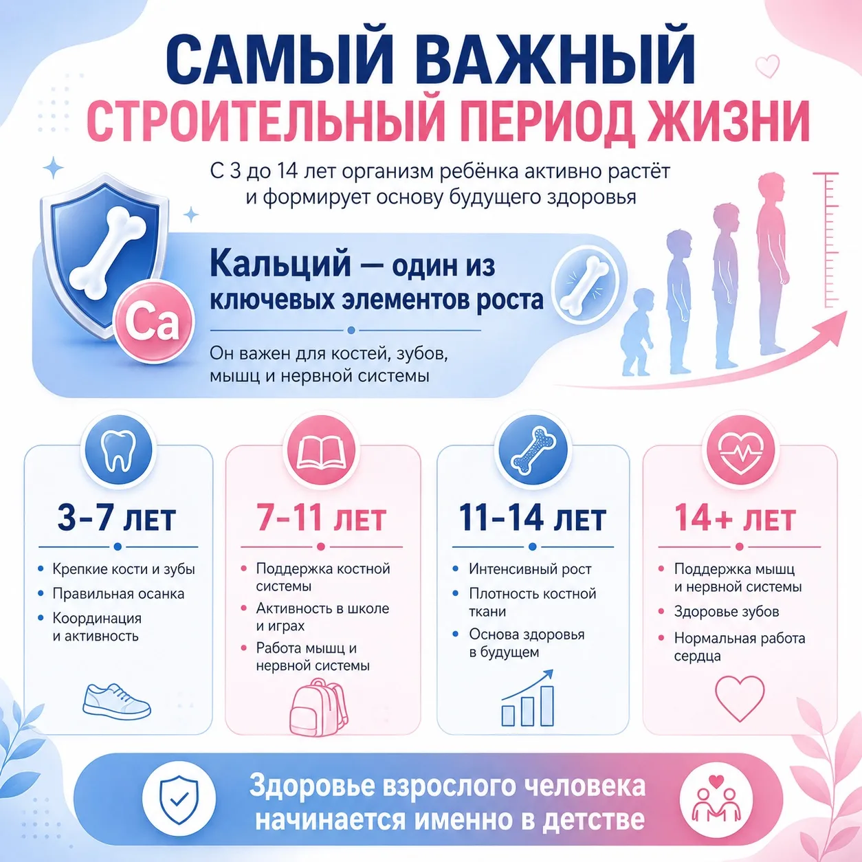САМЫЙ ВАЖНЫЙ СТРОИТЕЛЬНЫЙ ПЕРИОД ЖИЗНИ, КОТОРЫЙ ДЛИТСЯ ВСЕГО НЕСКОЛЬКО ЛЕТ