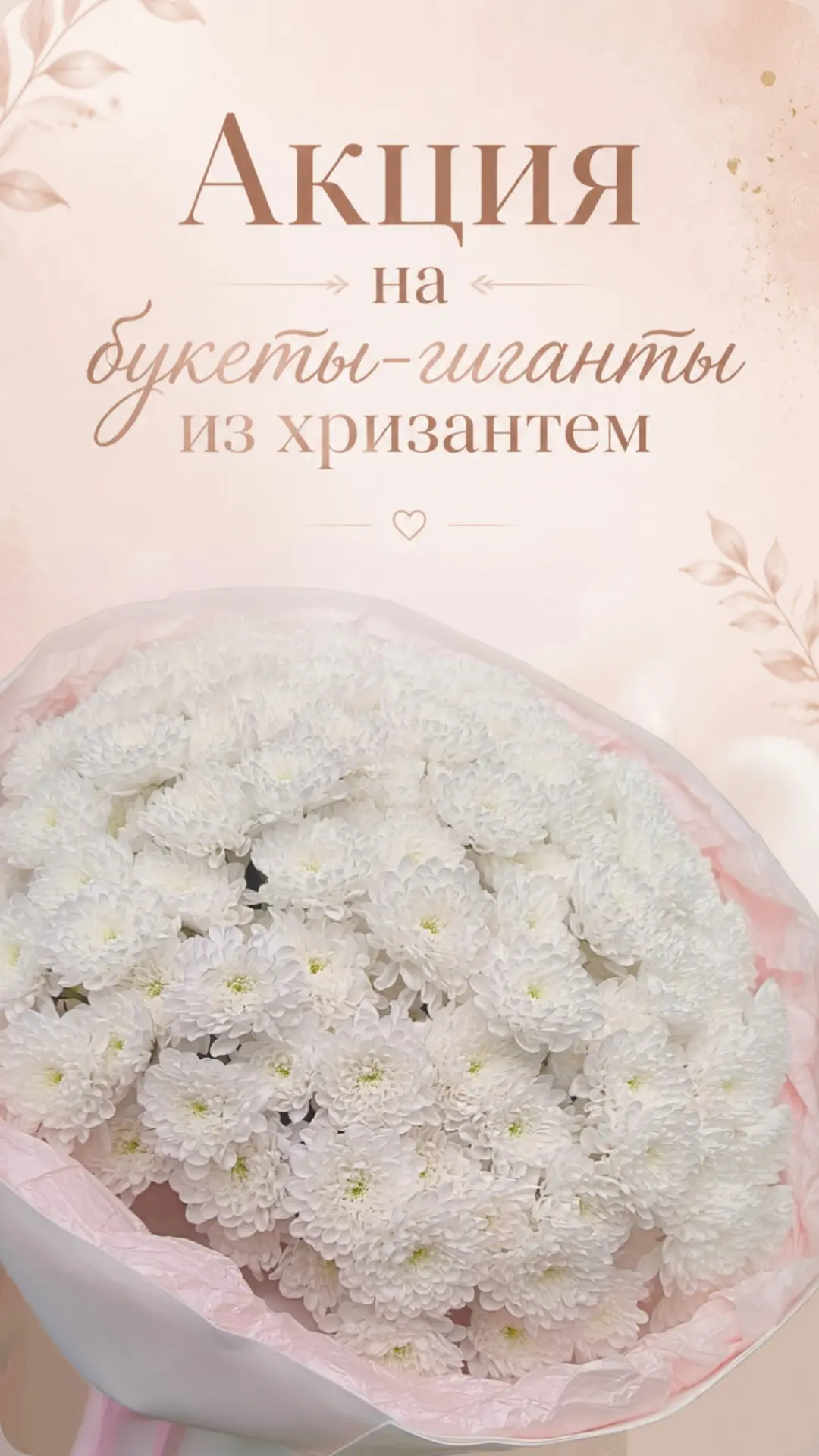 ‼️СПЕЦИАЛЬНОЕ ПРЕДЛОЖЕНИЕ ‼️