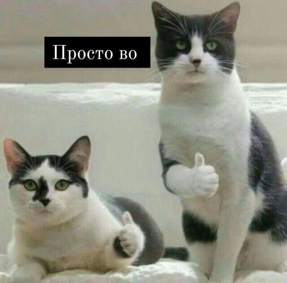 Господи, наконец-то адекватно мыслящий мужик: