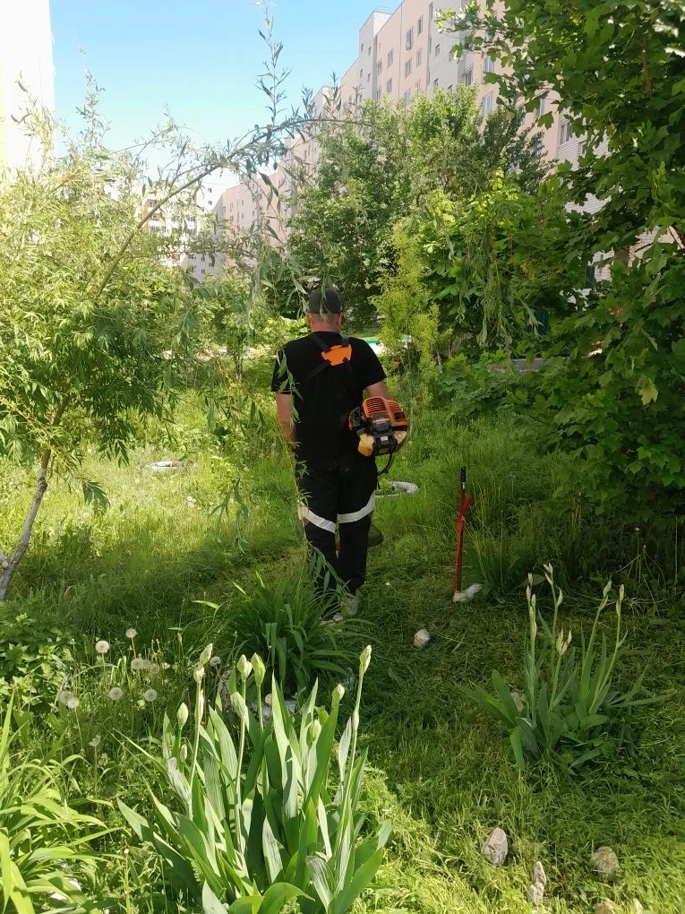 Покос травы и благоустройство придомовых территорий домов 11,11А, 11Б по ул. им. Академ...