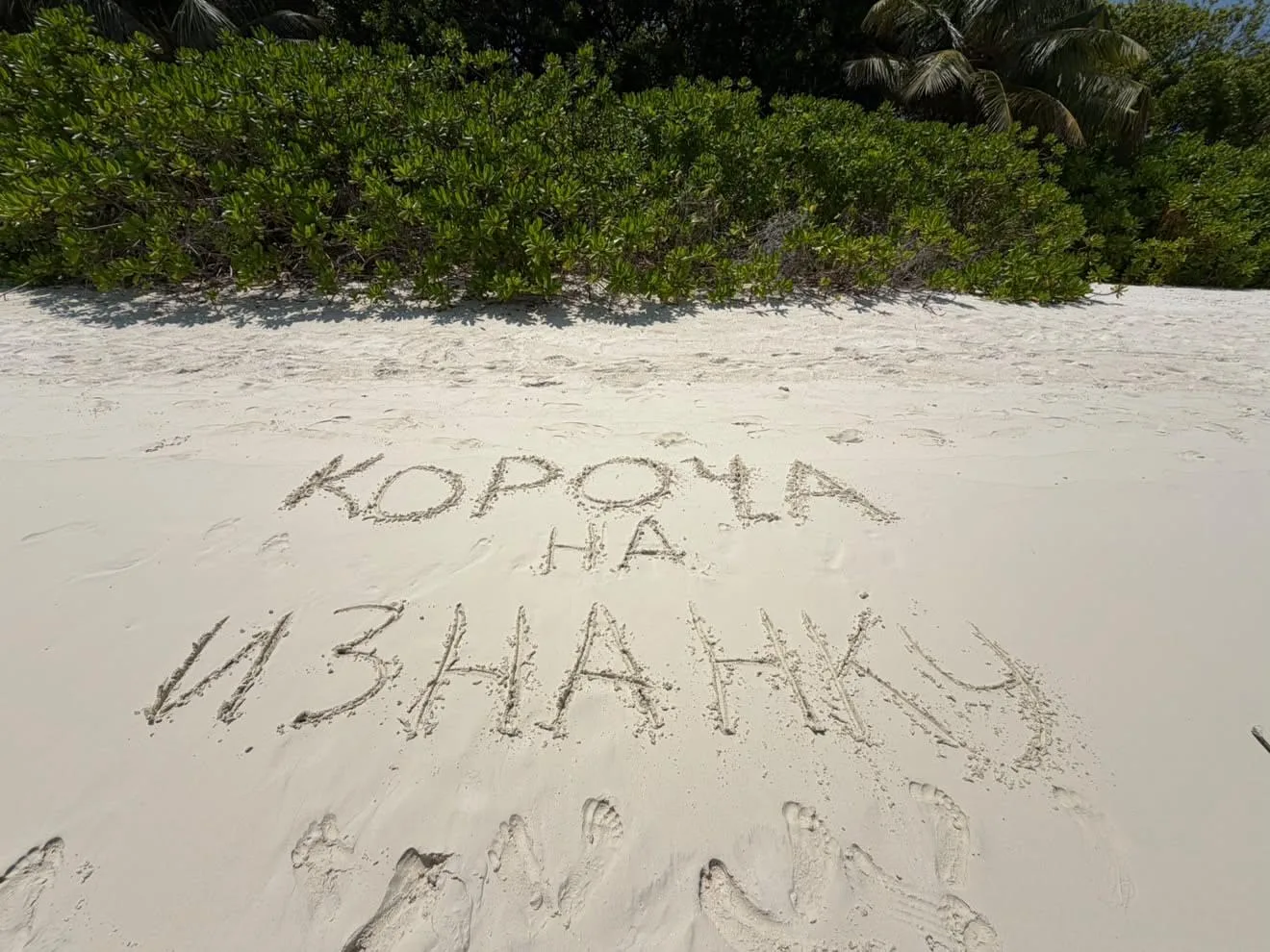 Угадайте откуда прилетел этот привет? На М.. начинается на .. льдивы кончается 😁