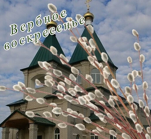 Поздравляю всех православных христиан Троицкого района с  праздником - Вербным Воскресеньем! Вербно