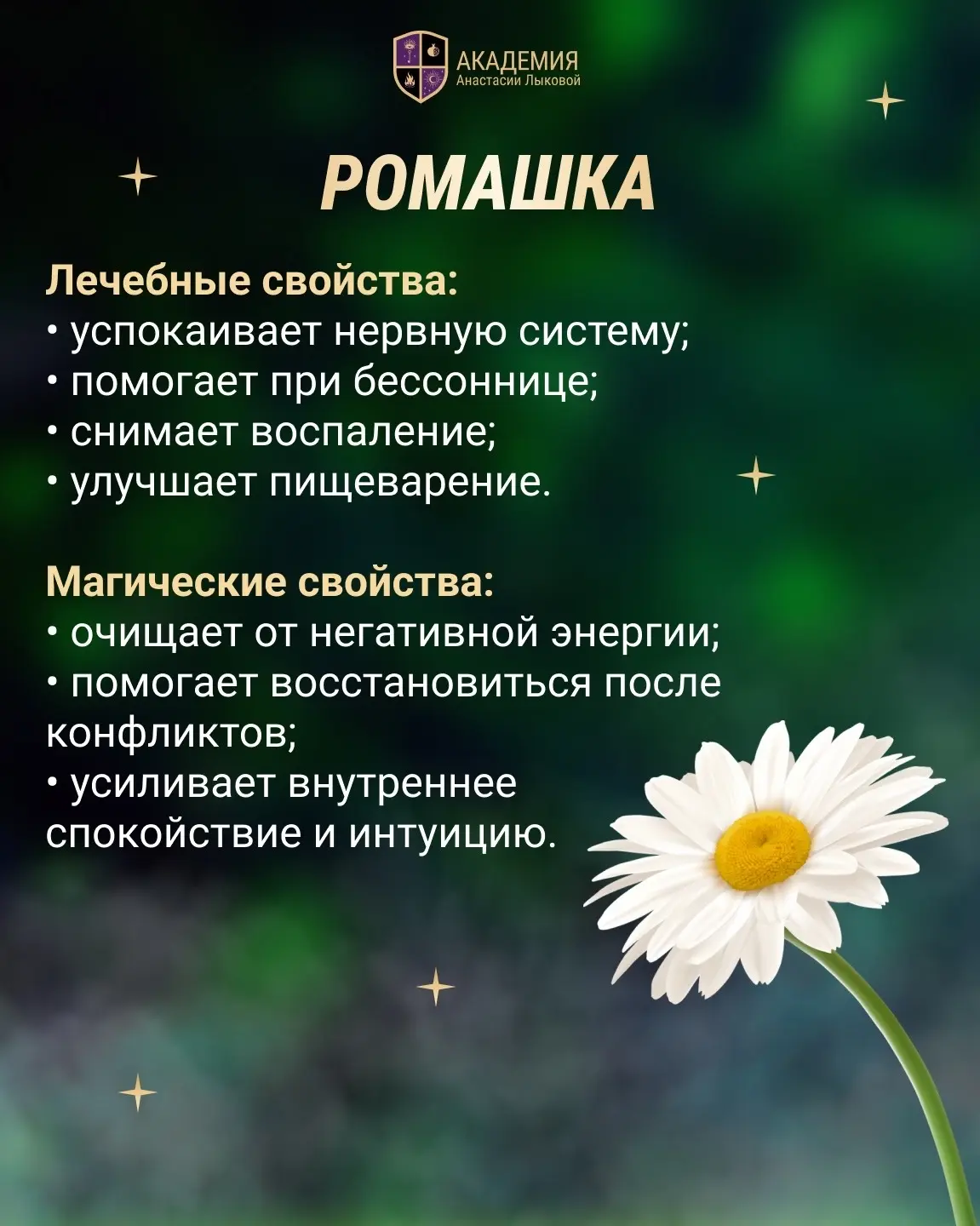 ТОП-7 ЦВЕТКОВ, обладающих магическими и целительными свойствами🌼