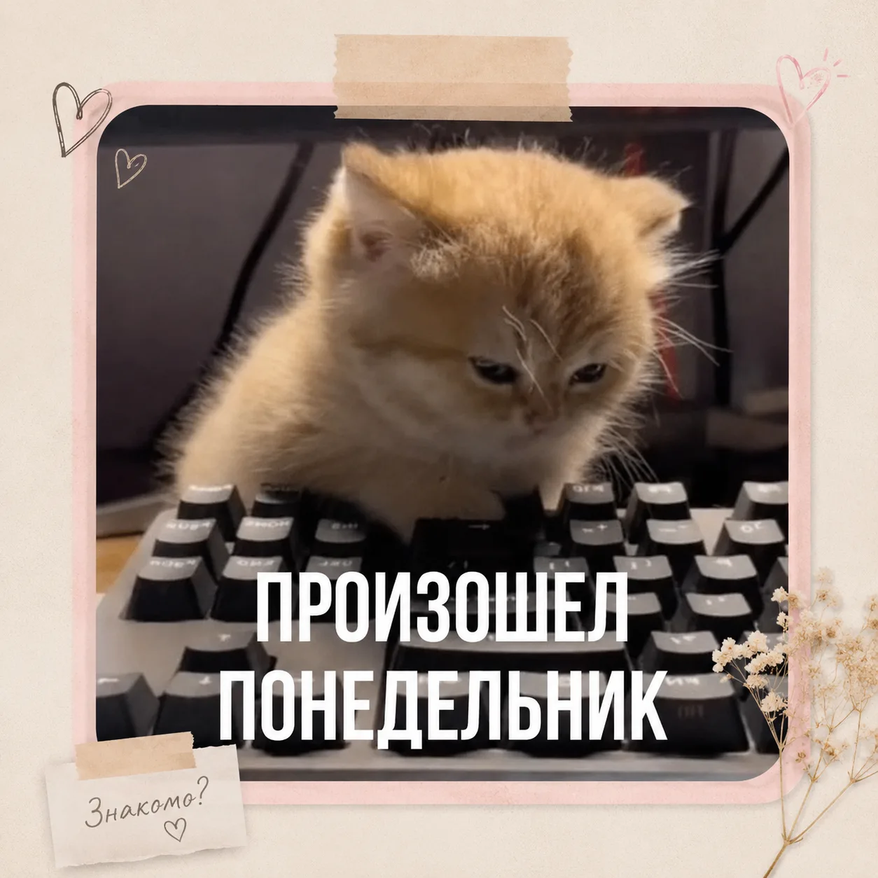 Сегодня рекомендую магний.

И это абсолютно никак не связано с тем, что у нас в семье случился понед