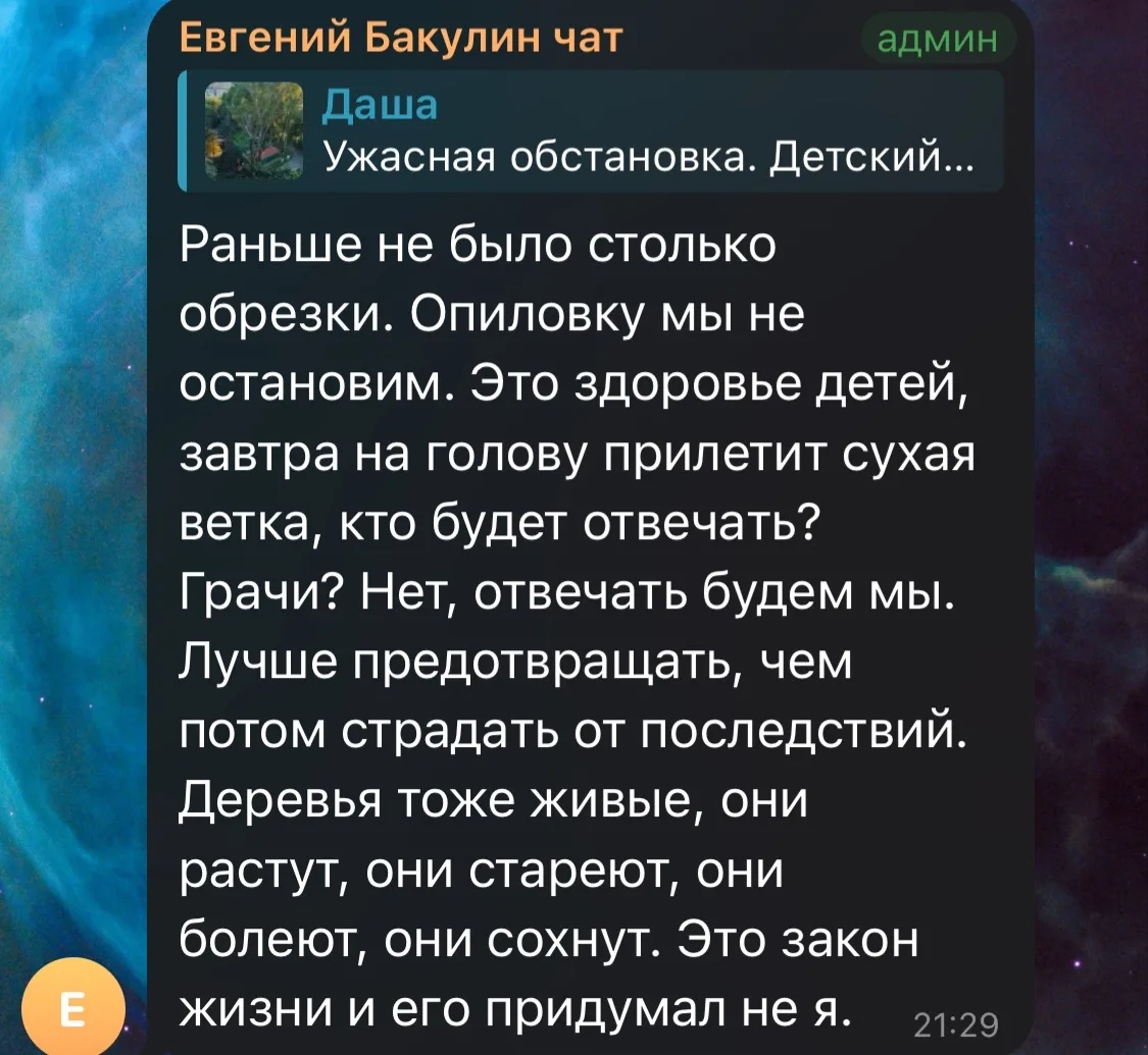 Глава города, конечно, выдал философию уровня “дерево — тоже живое, поэтому давайте его заранее унич