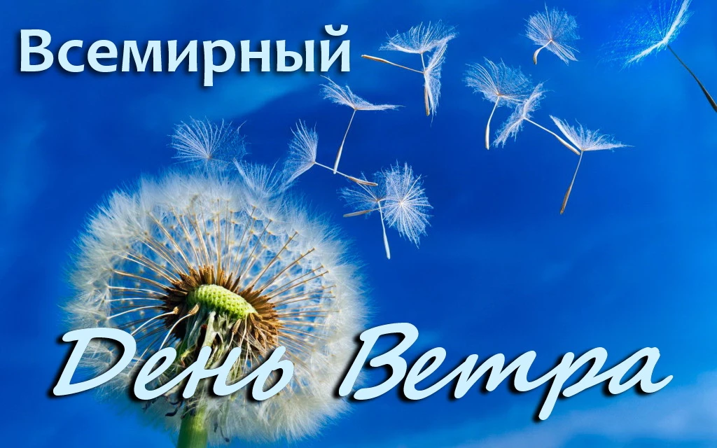 Добрый день, Адмиралтейский округ!💕