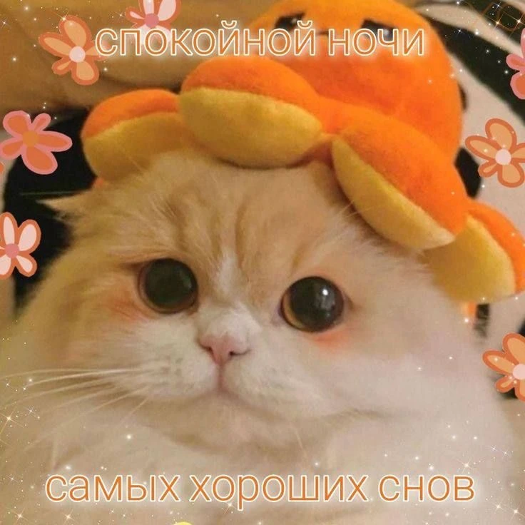 Изображение 1 к публикации «выжить в школе»