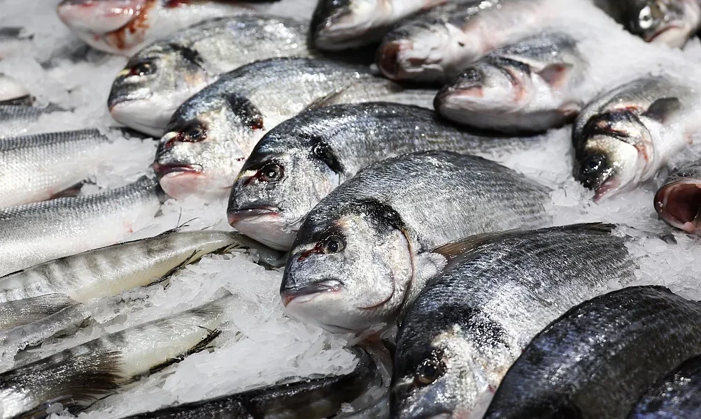 Рыбная конференция в Воронежской области

🐟 В Воронежском государственном университете инженерных т