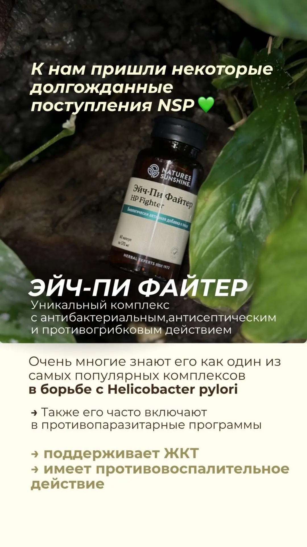 Поступление долгожданных добавок NSP💚