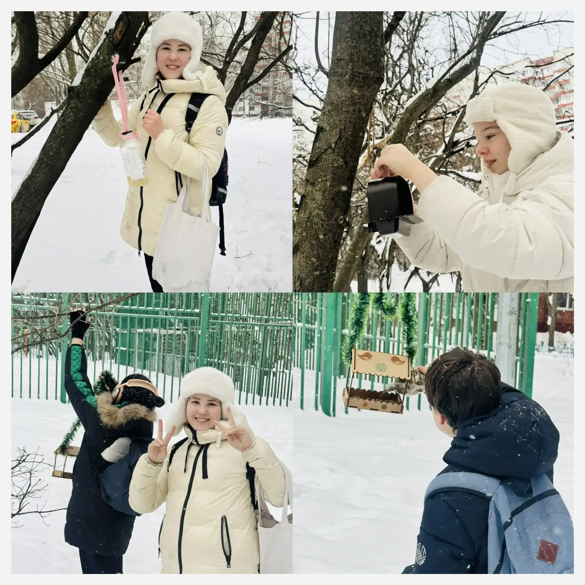 Зимой птицам нужна наша помощь!  🐦 На улице стоят настоящие зимние морозы, и в это время нашим перна