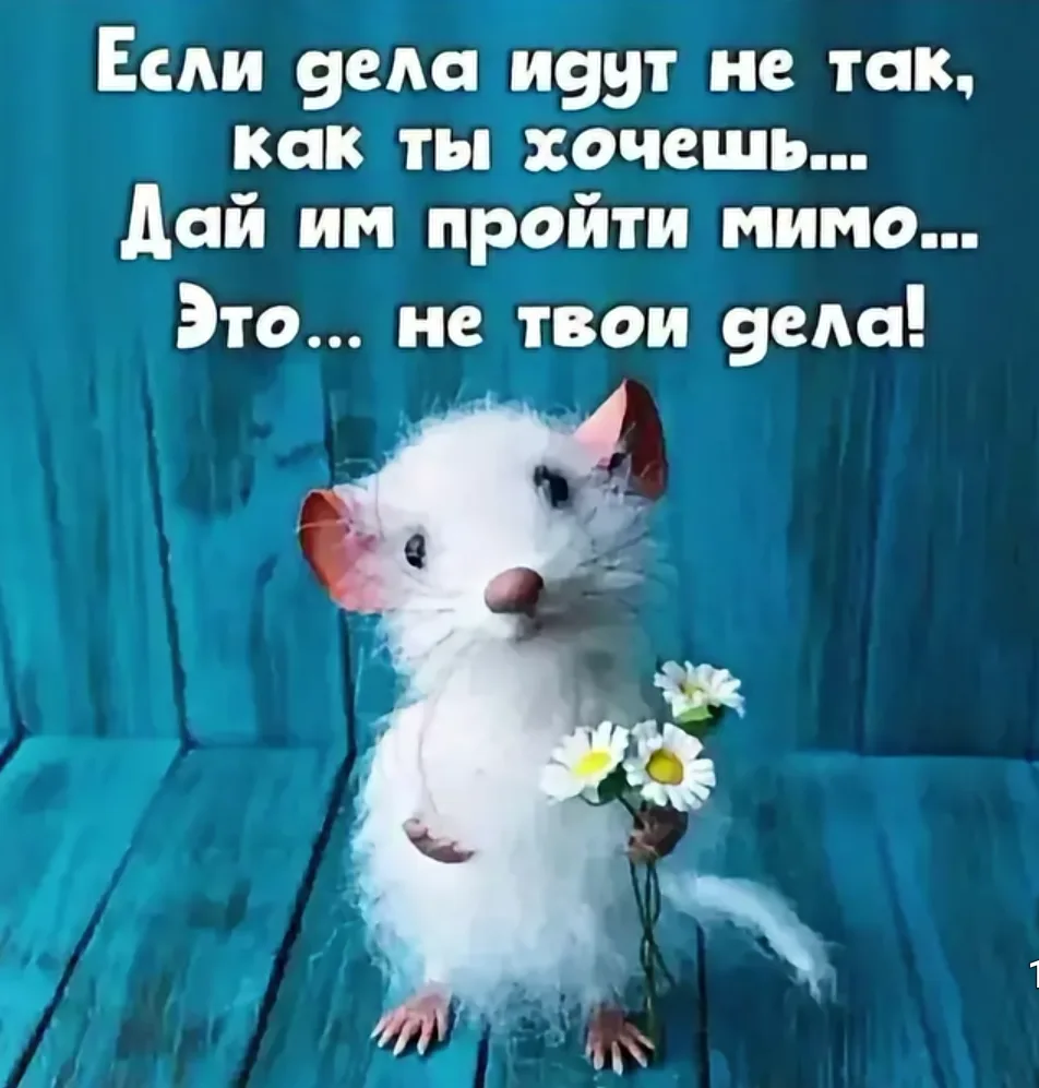 Совет дня.
