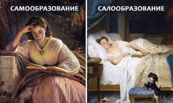 Стало известно, сколько жителей Мордовии занимаются самообразованием