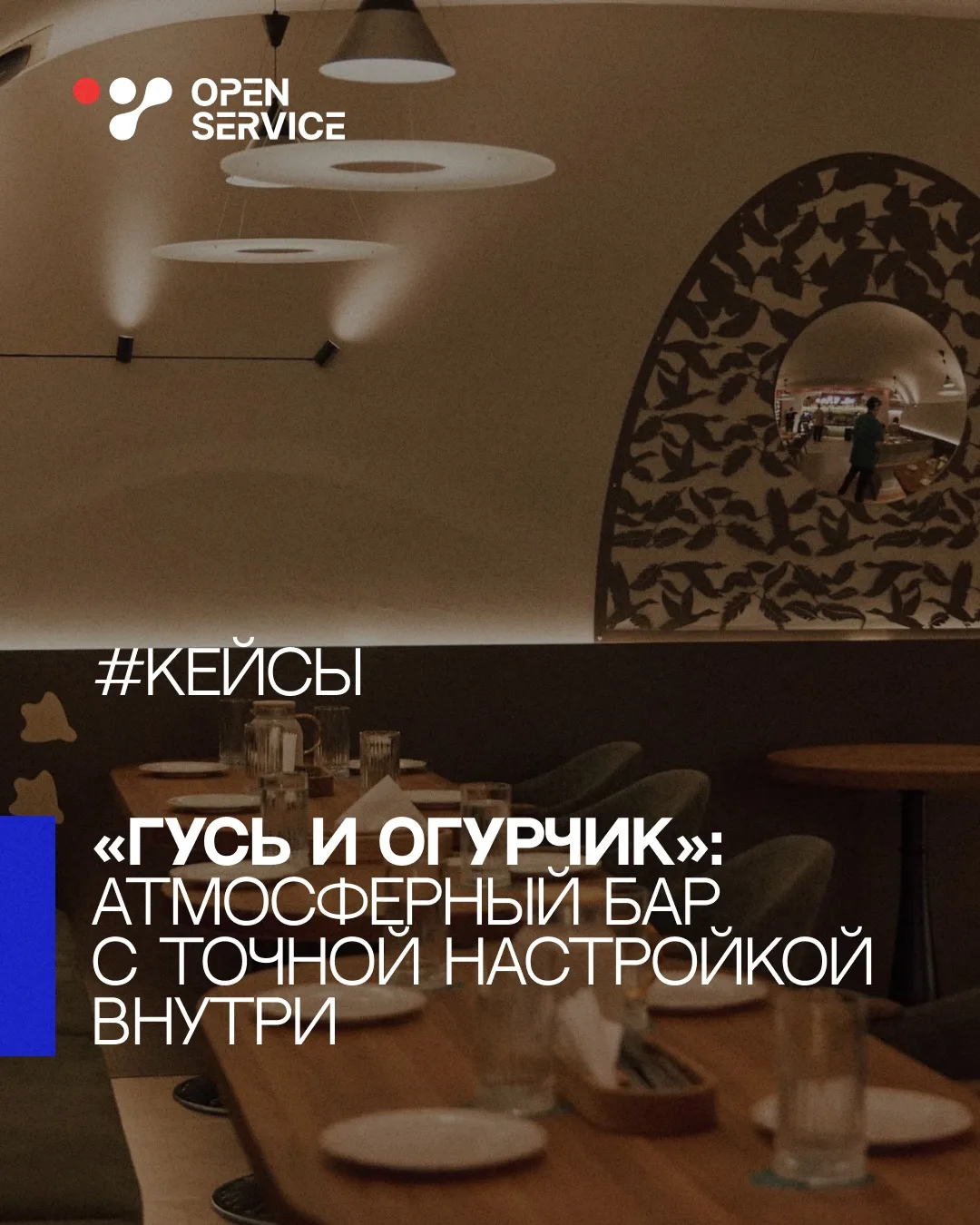 «Гусь и Огурчик» (Новосибирск)