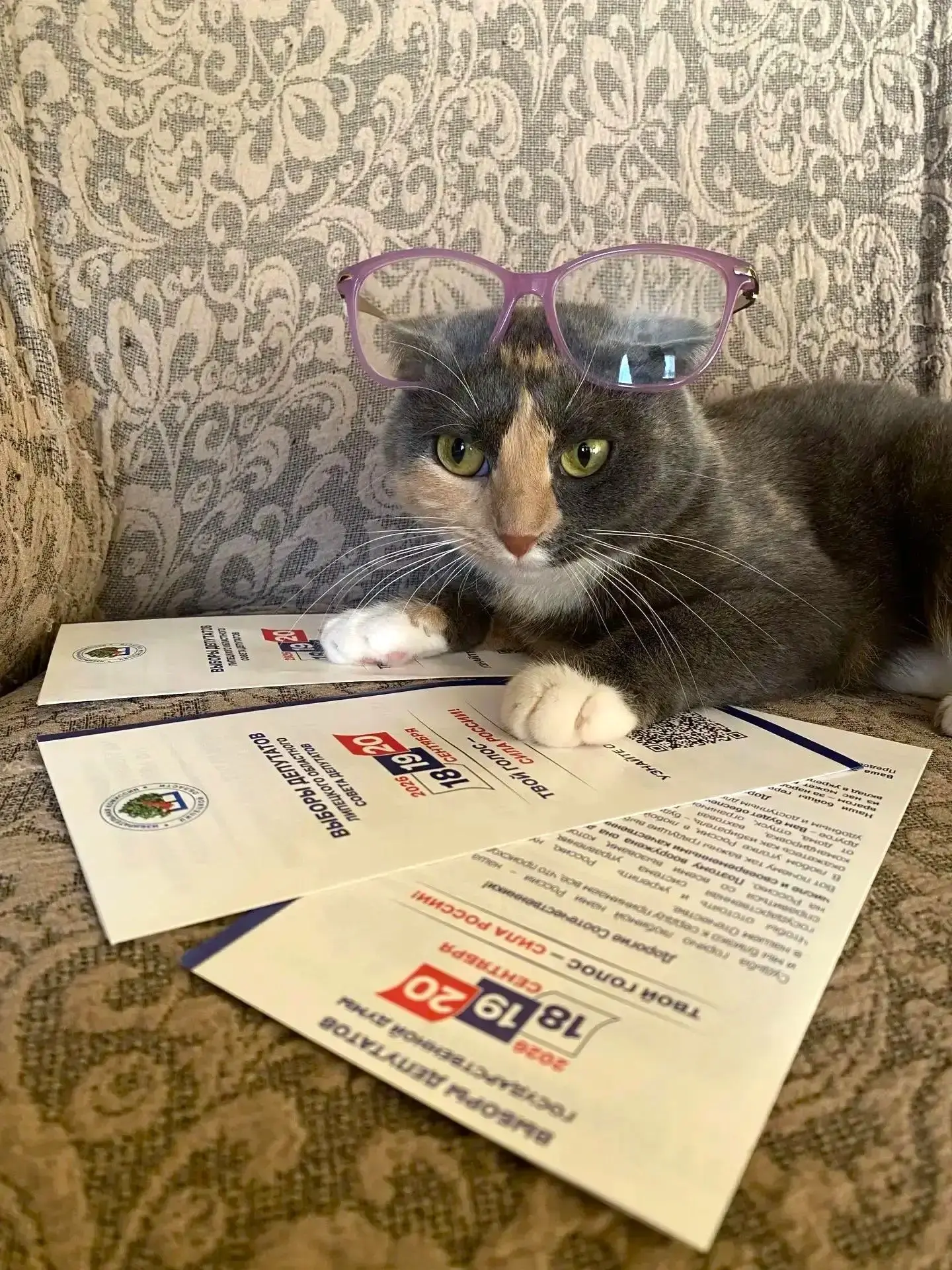 Кот Ученый и «ИнформУИК» 😸🗳️