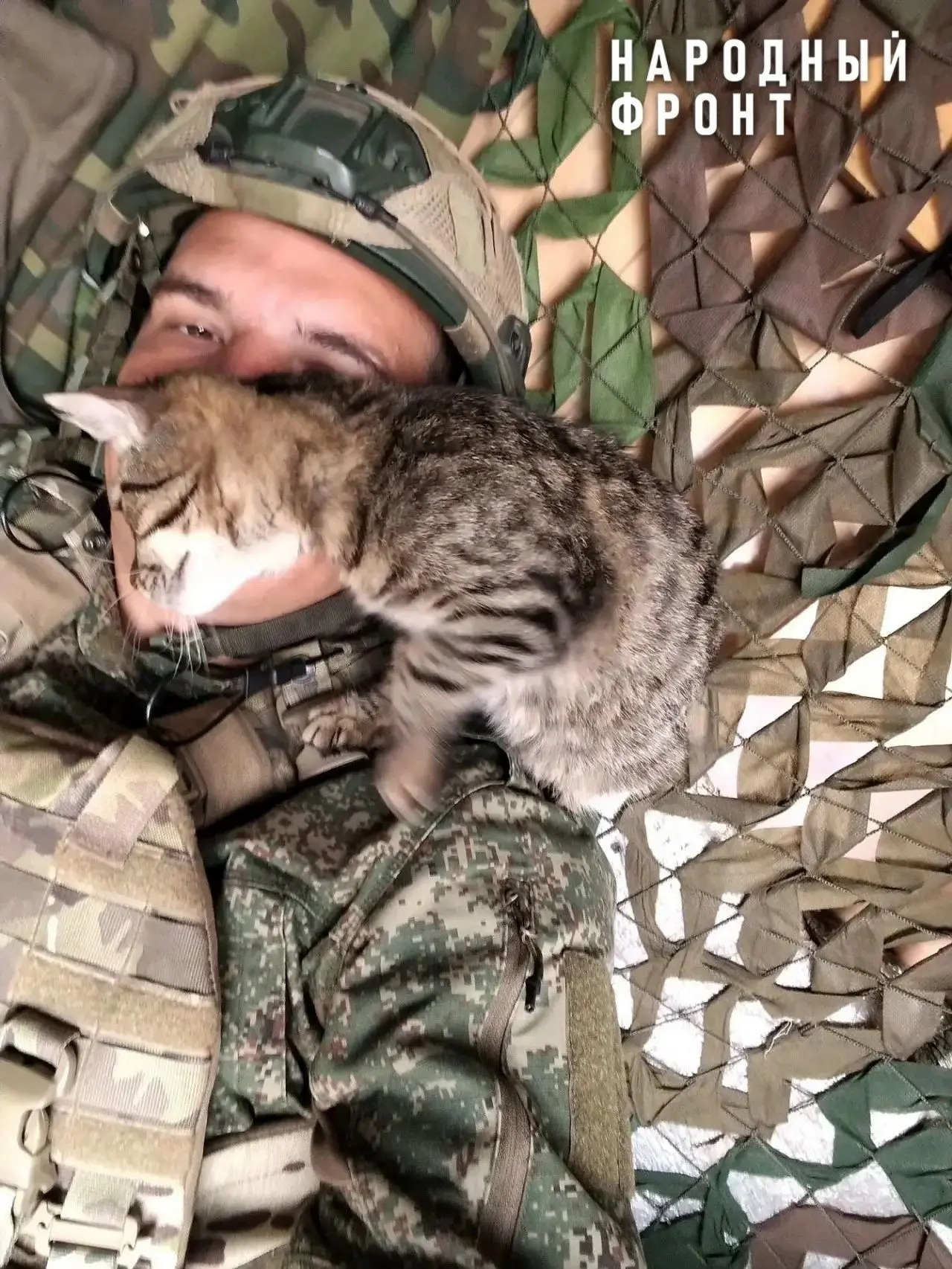 🐾 Милота дня: кот Енот — пушистый боец со сватовского направления! 🐾