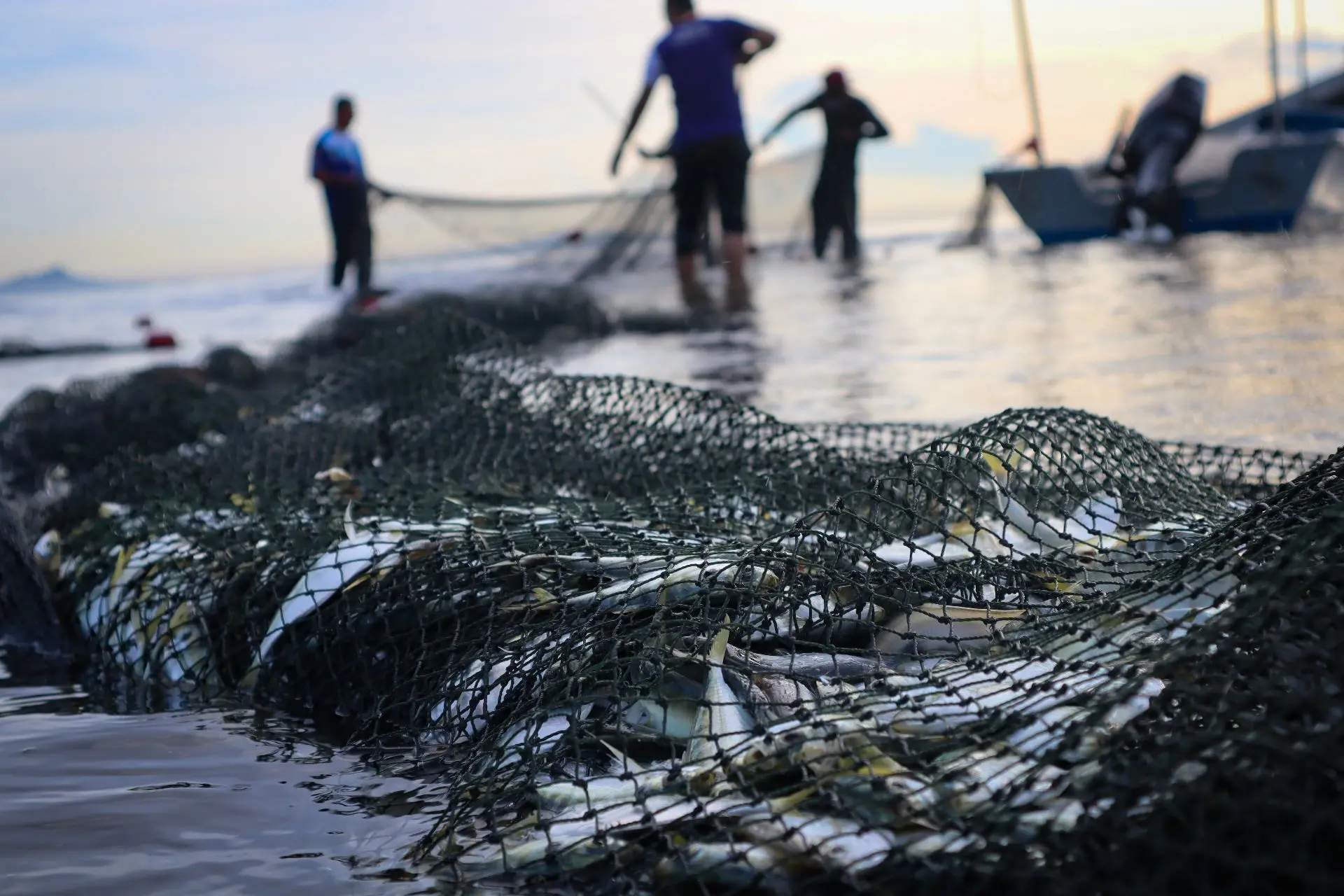 🐟️В Приуральском районе стартовала летняя путина

В Приуральском районе официально началась летняя 
