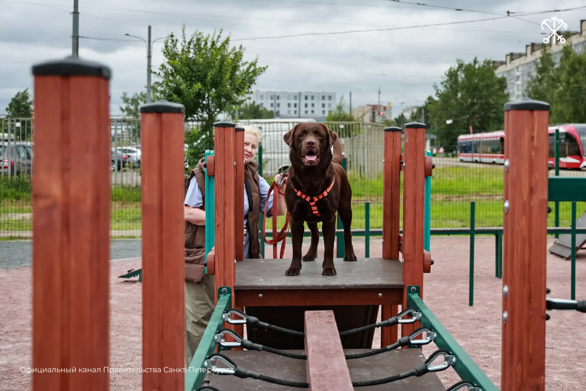 Новая кинологическая площадка открылась в Выборгском районе.