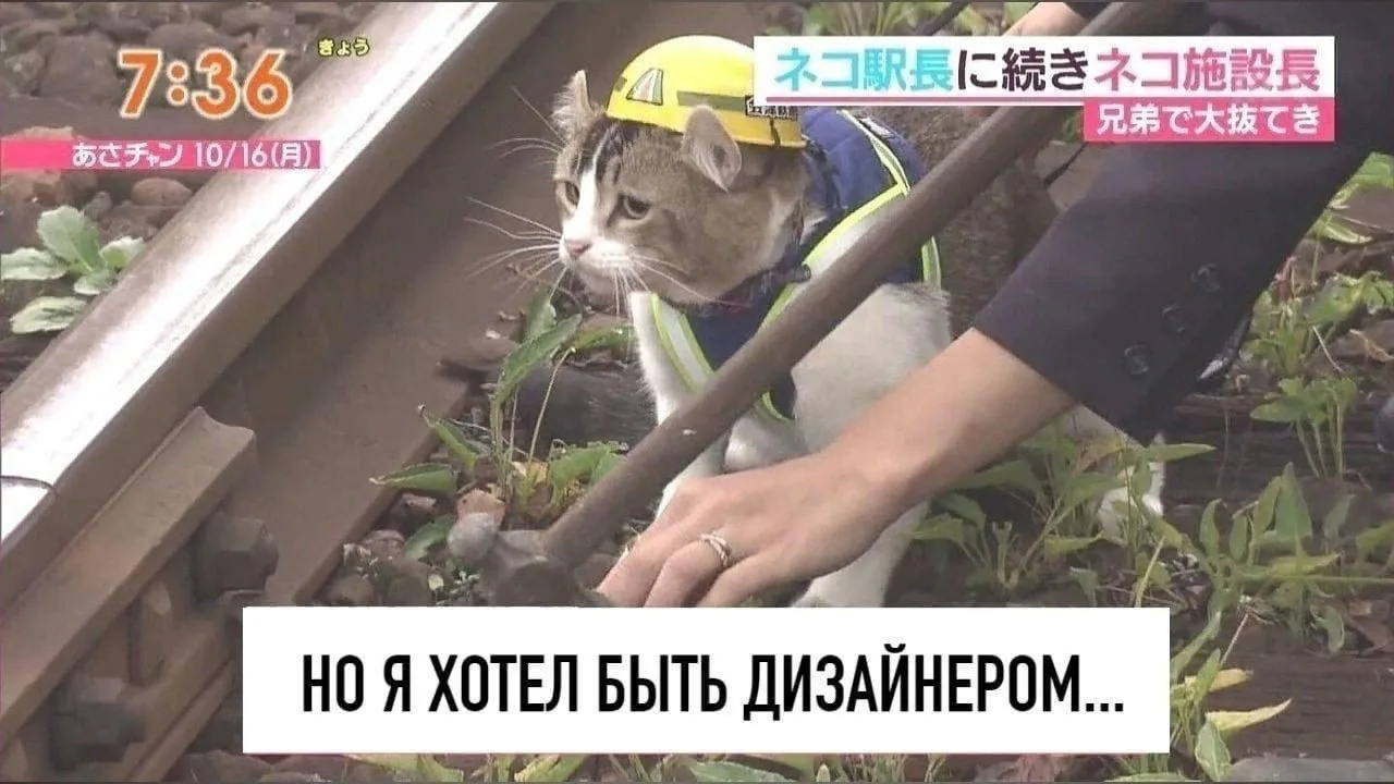 Надеюсь в следующей жизни ему повезёт больше