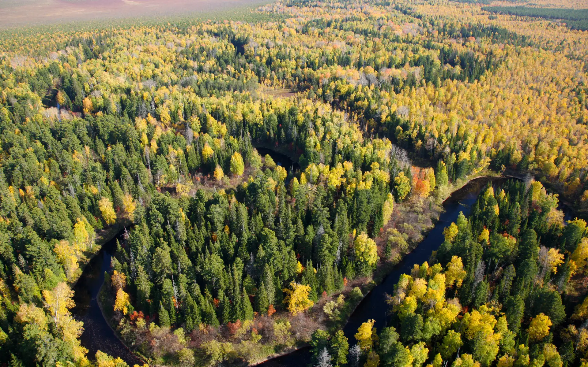 Югра - уникальный регион с богатой историей и природой!🌲🌳 Здесь, среди бескрайних таё...