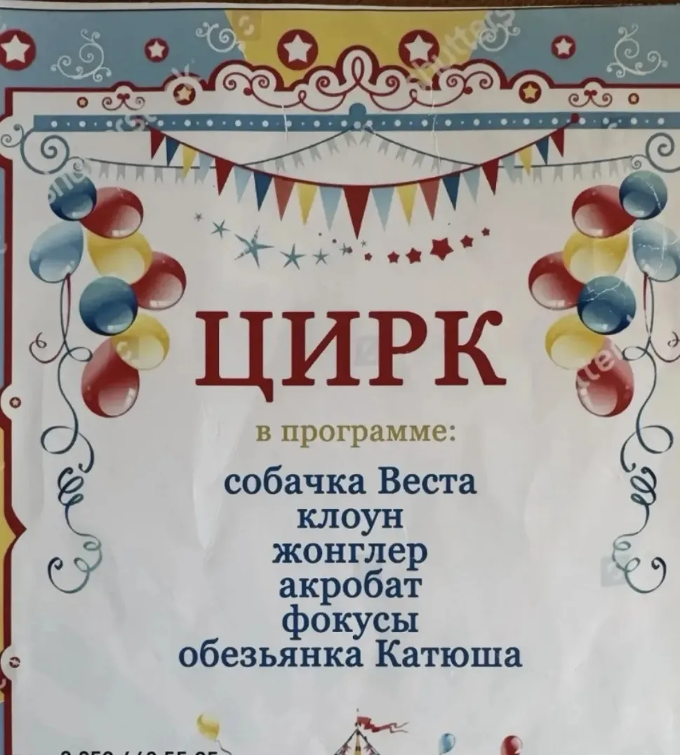 В нашем детском саду побывал цирк.