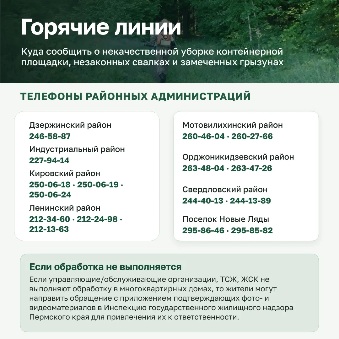 В Перми стартовала единовременная сплошная дератизация