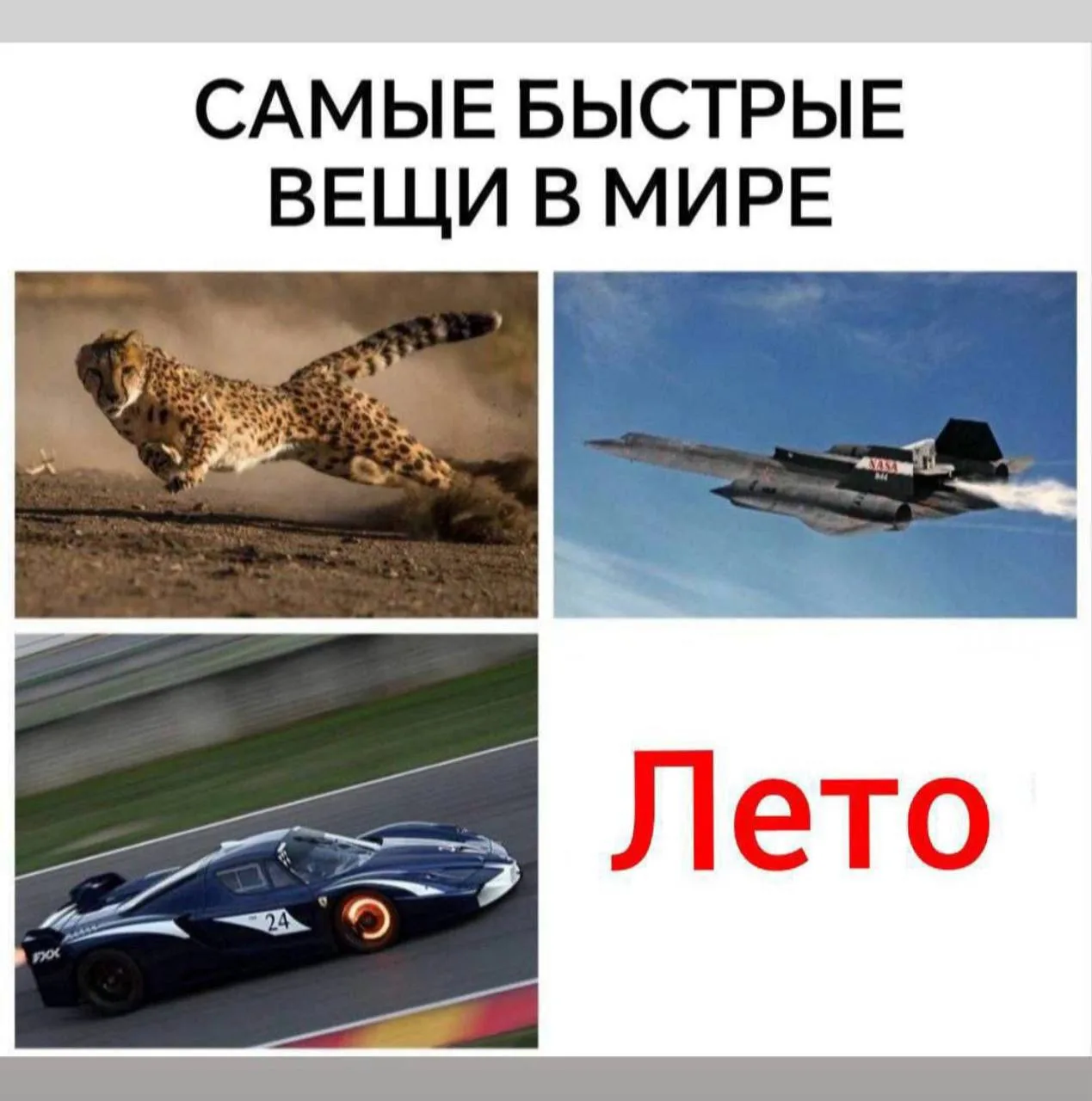 Как ваше лето? Все успели, что планировали? Я примерно ничего 🥲