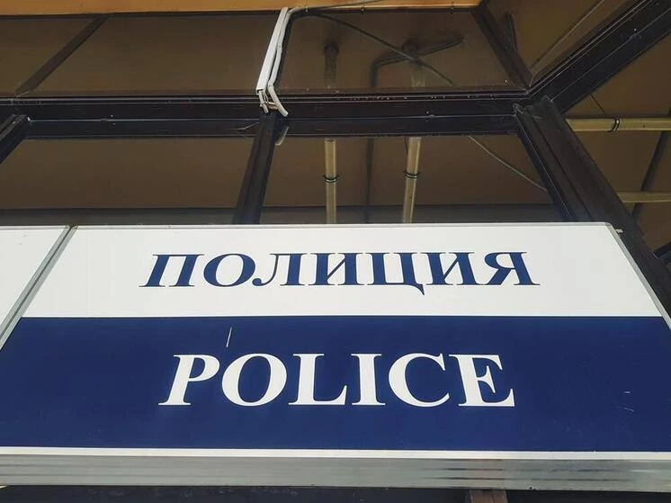 МВД: на Кубани будут судить мужчину за вырубку деревьев на 130 тысяч рублей