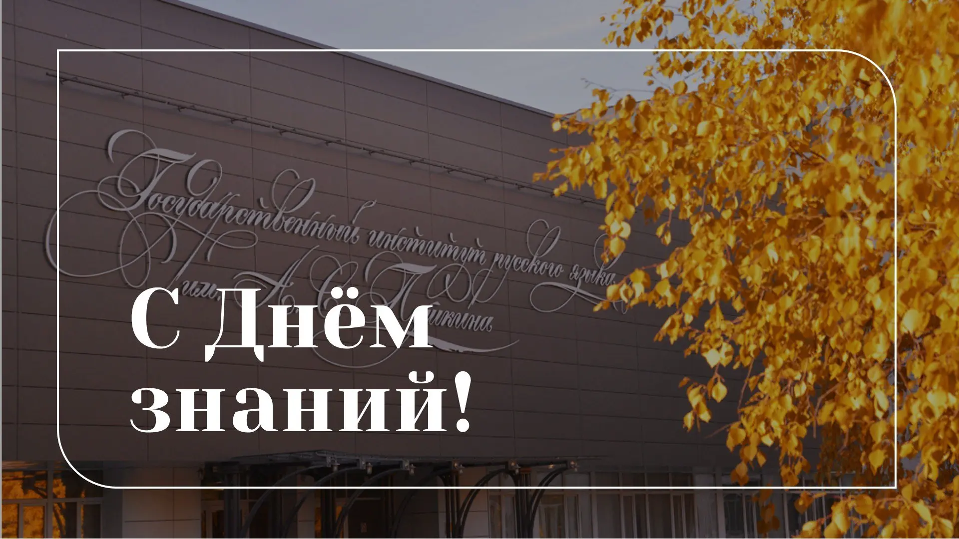 💫 Дорогие друзья!
