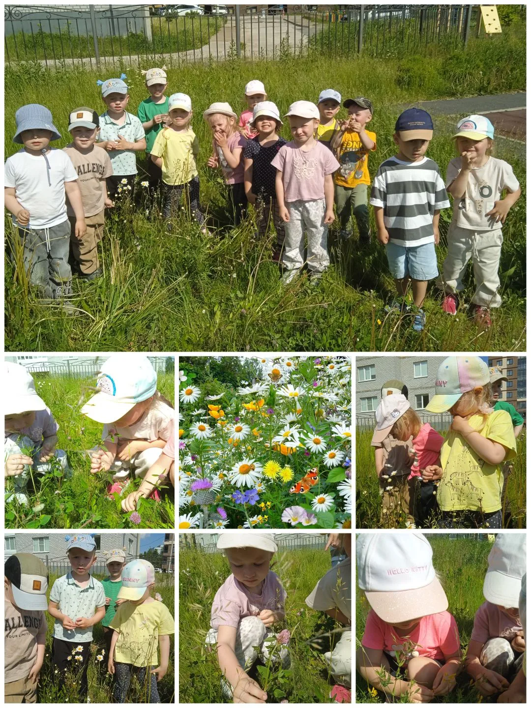 ⚡️Лето - чудесное время для наблюдений, познаний нового и неизведанного☀️🌱🔎
Воспитанники группы "Ч