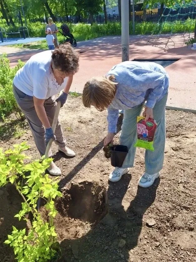 🌸 В Чебоксарах ветераны и школьники высадили сиреневую аллею, посвященную памяти хлопчатобумажного к