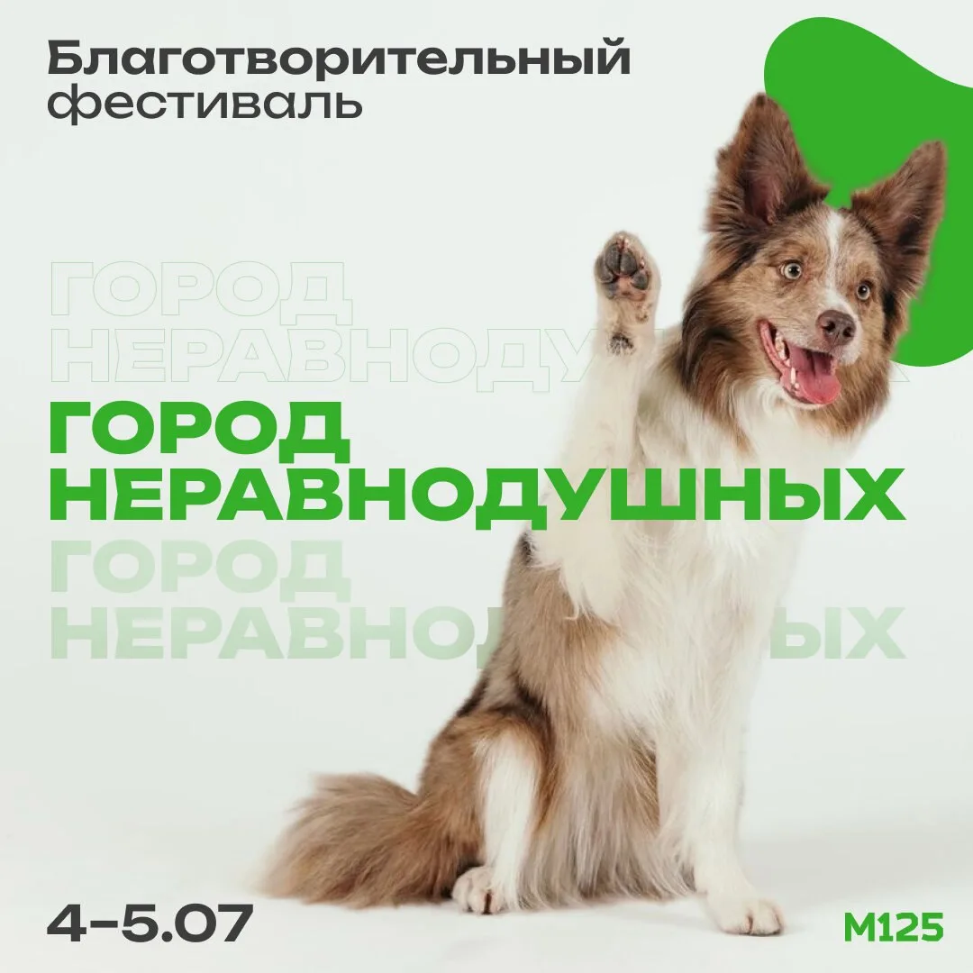 Ищете питомца? 4 и 5 июля на фестивале «Город неравнодушных» в саду Баумана можно будет...
