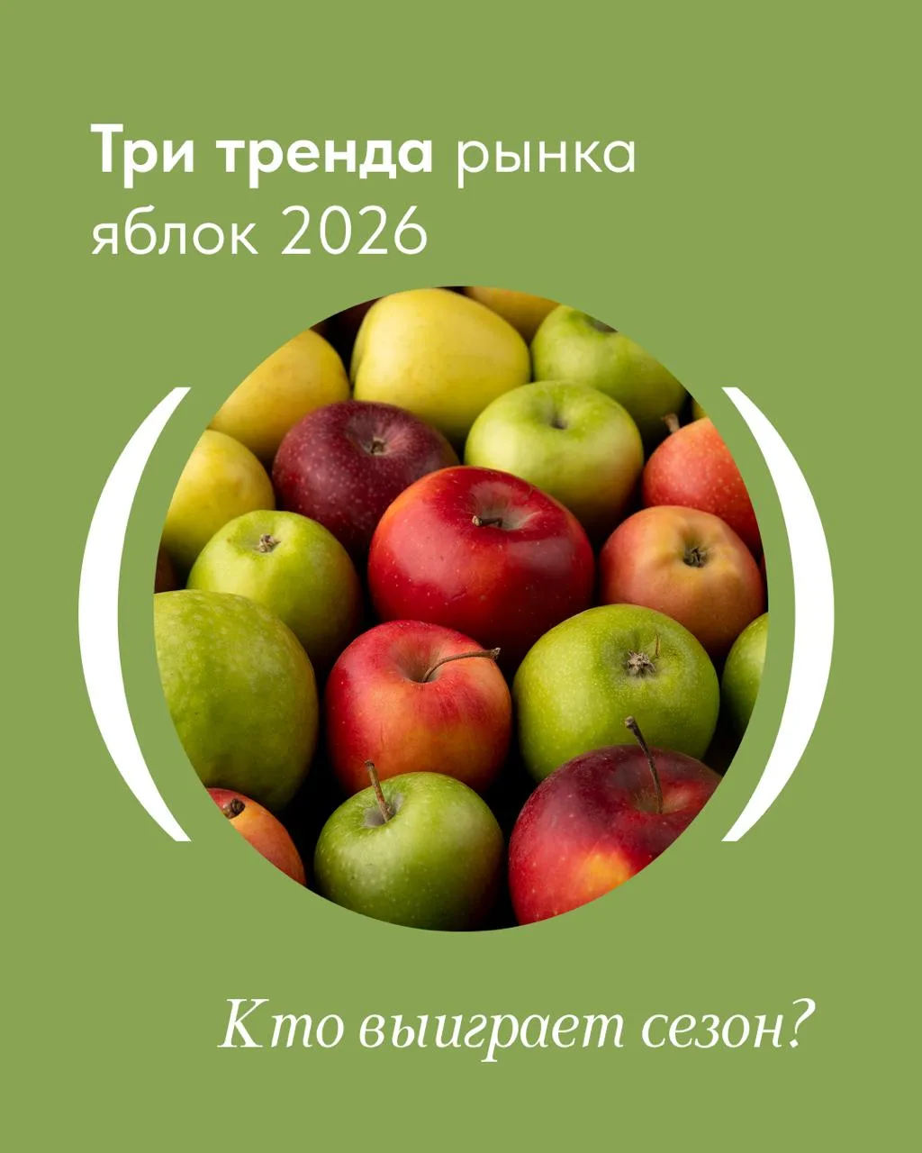 Три тренда рынка яблок 2026. Кто выиграет сезон?
