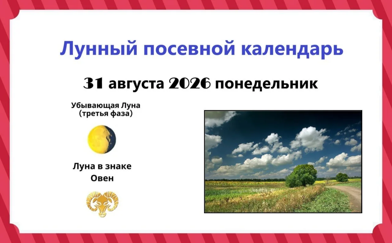 3️⃣1️⃣ августа, понедельник