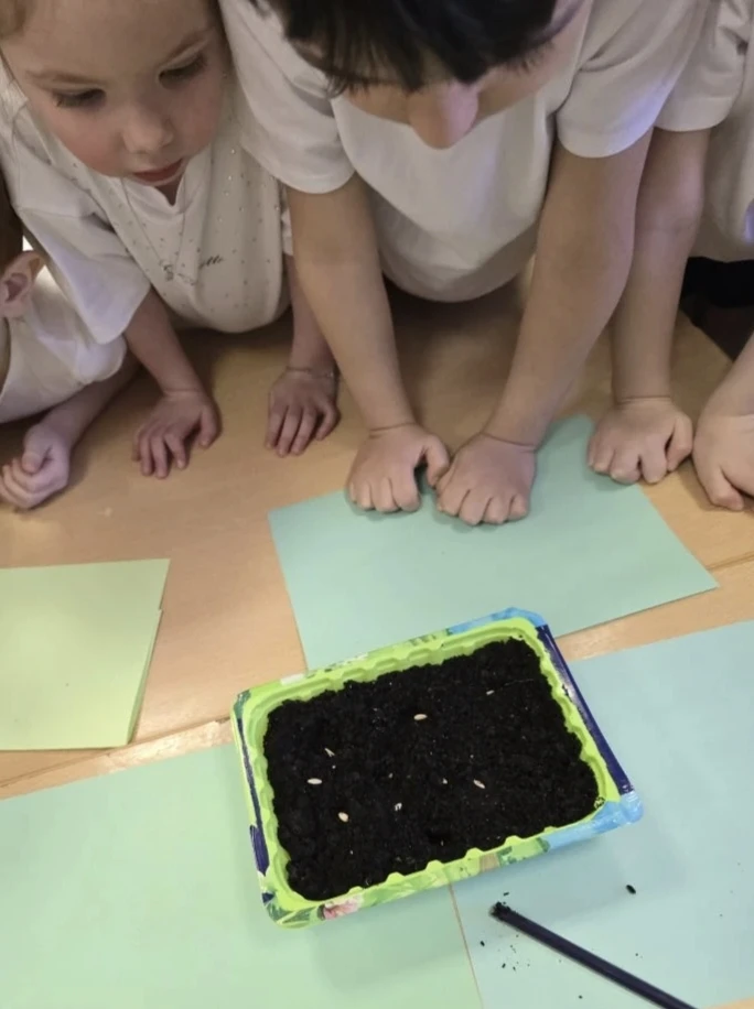 Первый урожай! 🌱  🏡 Наши воспитанники из старшей группы "Умники" открыли "дачный сезон", не выходя и