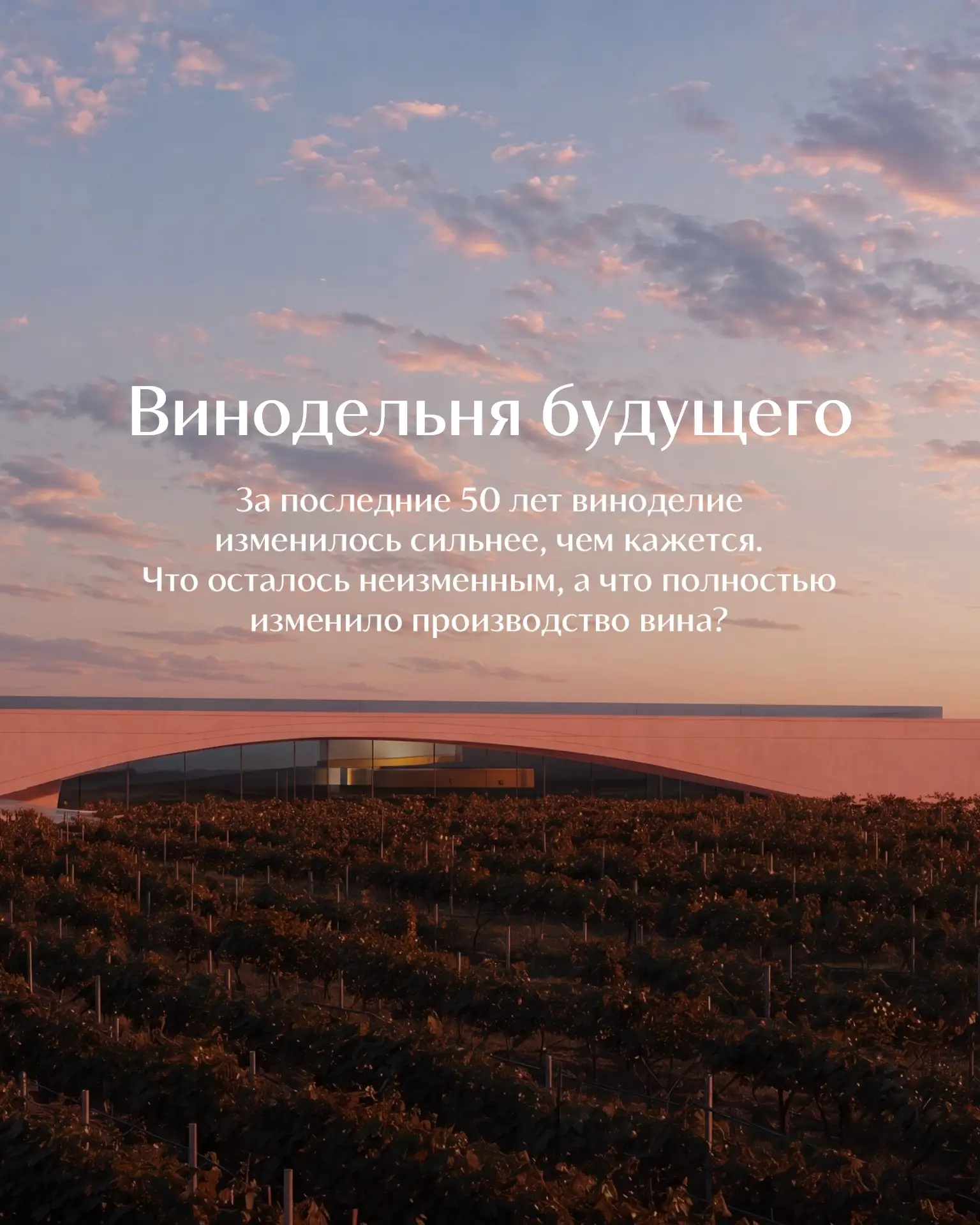 Когда говорят о винодельне, чаще всего представляют виноградники. Но не менее интересна...