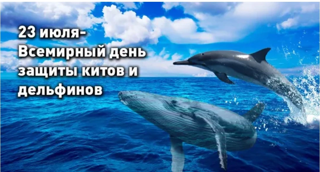 🧐 Что отмечают 23 июля?

 👩‍🌾День дачника
 ✔️День Невской битвы 
 🐳Всемирный день китов и дельфи
