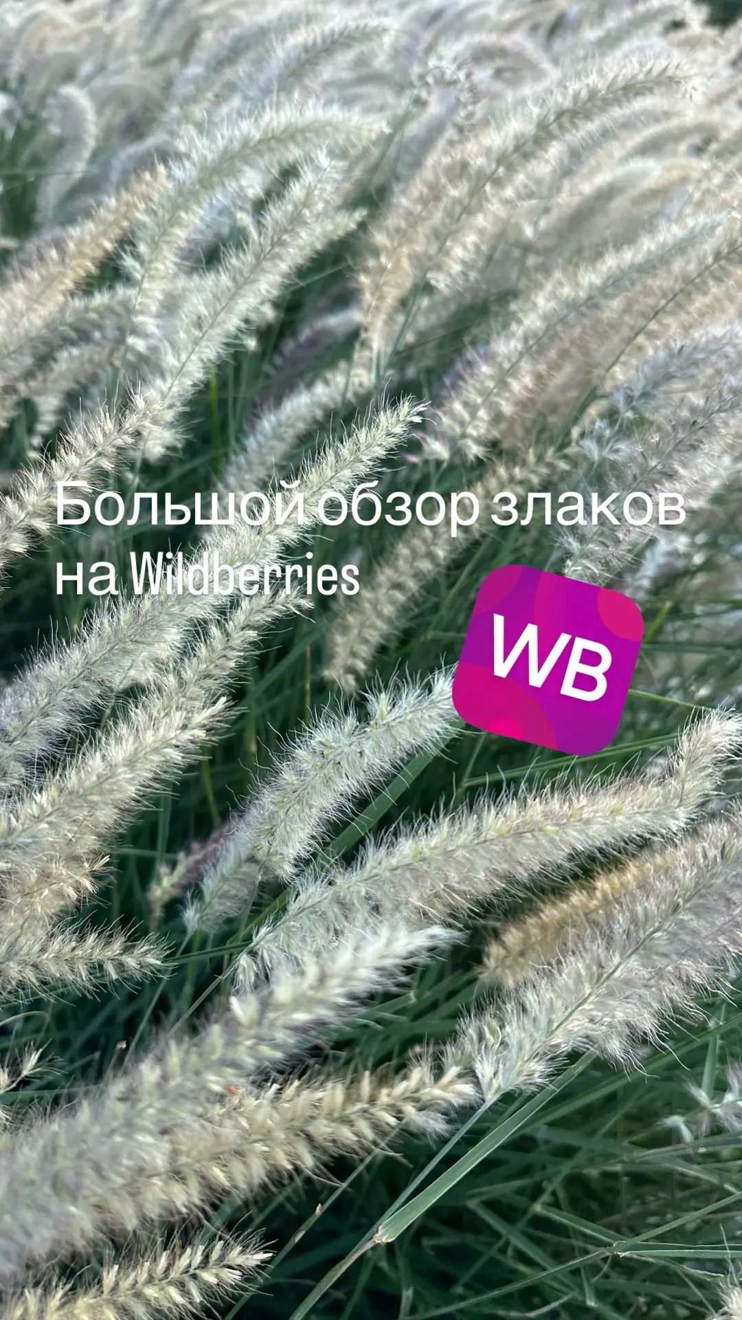 Большой обзор декорации злаков на Wildberries 💜