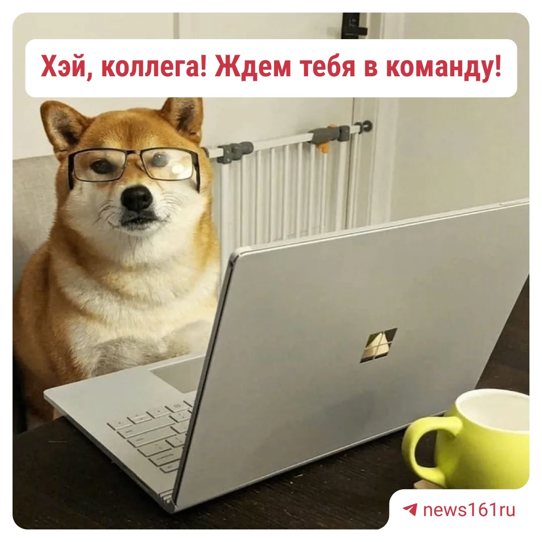 А что у нас тут? Крутая вакансия в команду @news161ru 😎