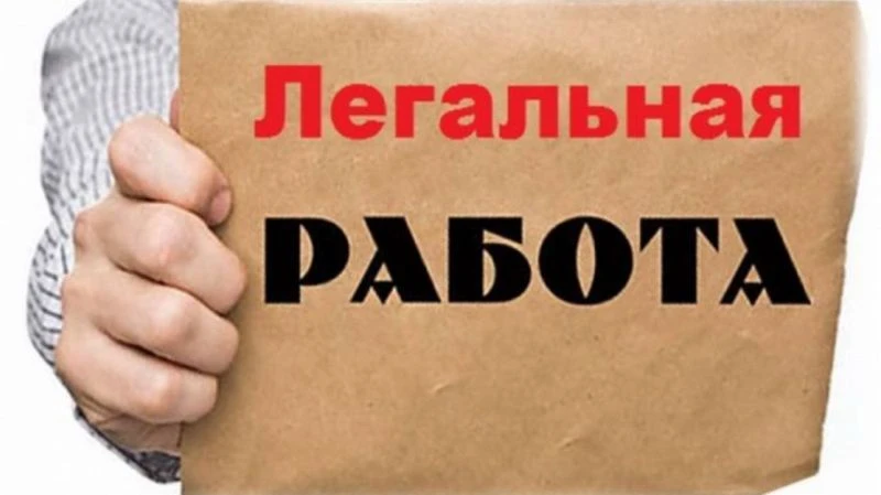 В целях активизации работы по противодействию нелегальной занятости и повышению уровня ...