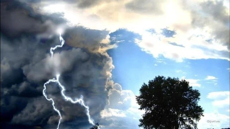 ⛈️ Шквалистый ветер и грозы надвигаются на Прикамье

По данным ГИС-центра ПГНИУ, ветер на западе и в