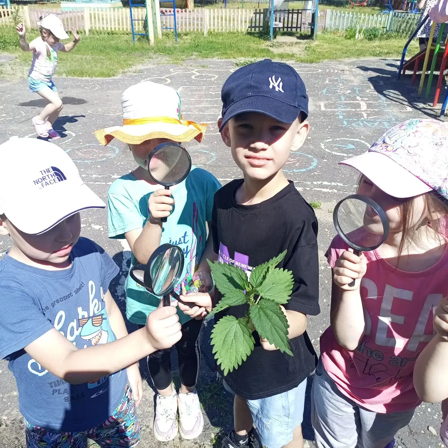 Наблюдение 🔎в природе на прогулке  — это специально организованный воспитателем процесс активного в