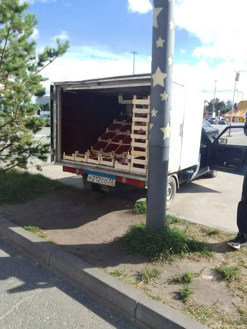 В Тюмени продолжаются рейды против стихийной торговли фруктами.