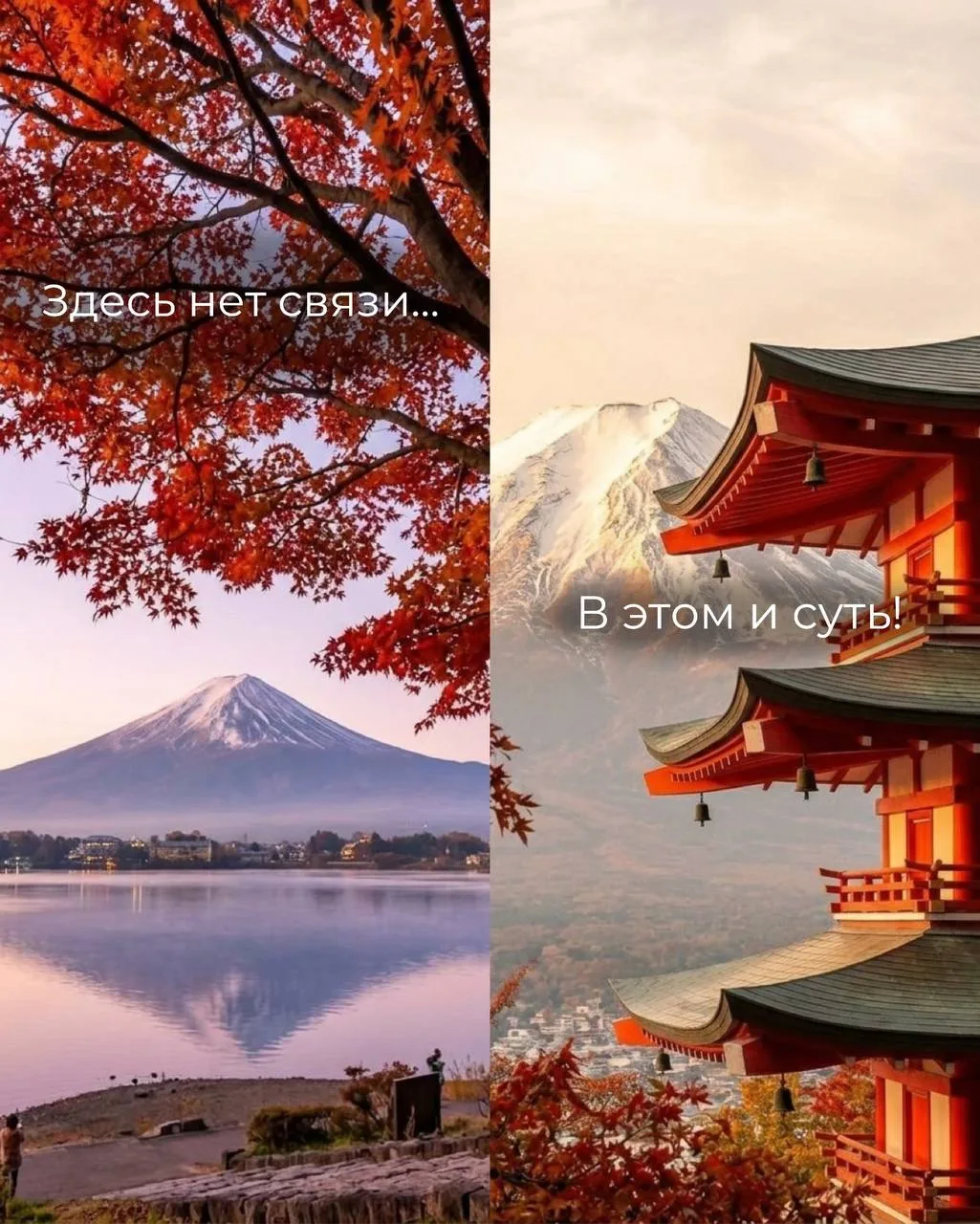 Иногда отпуск не должен быть активным, чтобы взбираться на горы и постоянно куда-то еха...