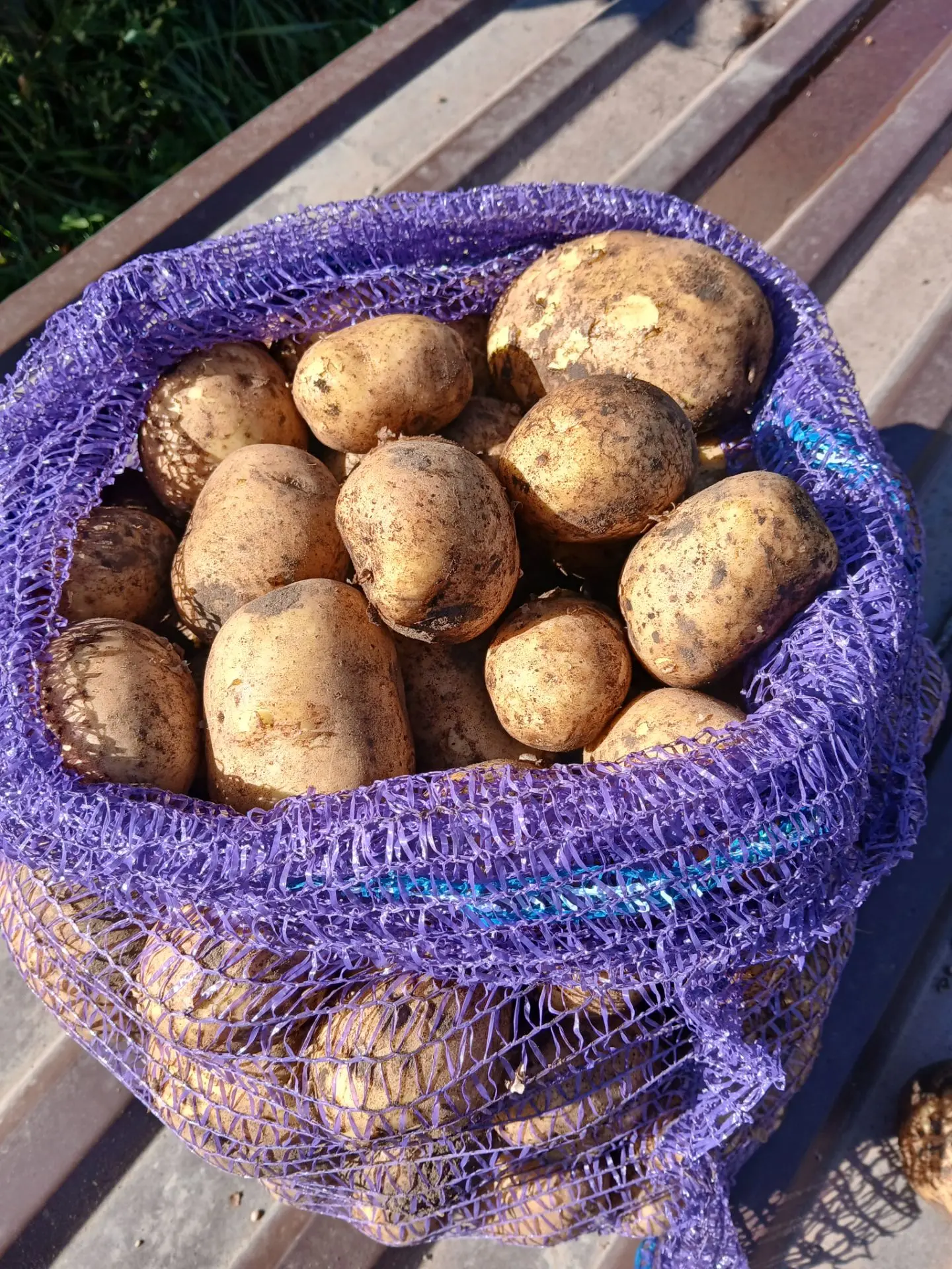 Продам картофель-сорт Голландский(вкусная,жёлтая,крупная). Мешок ~40-45кг. Цена 1800руб...
