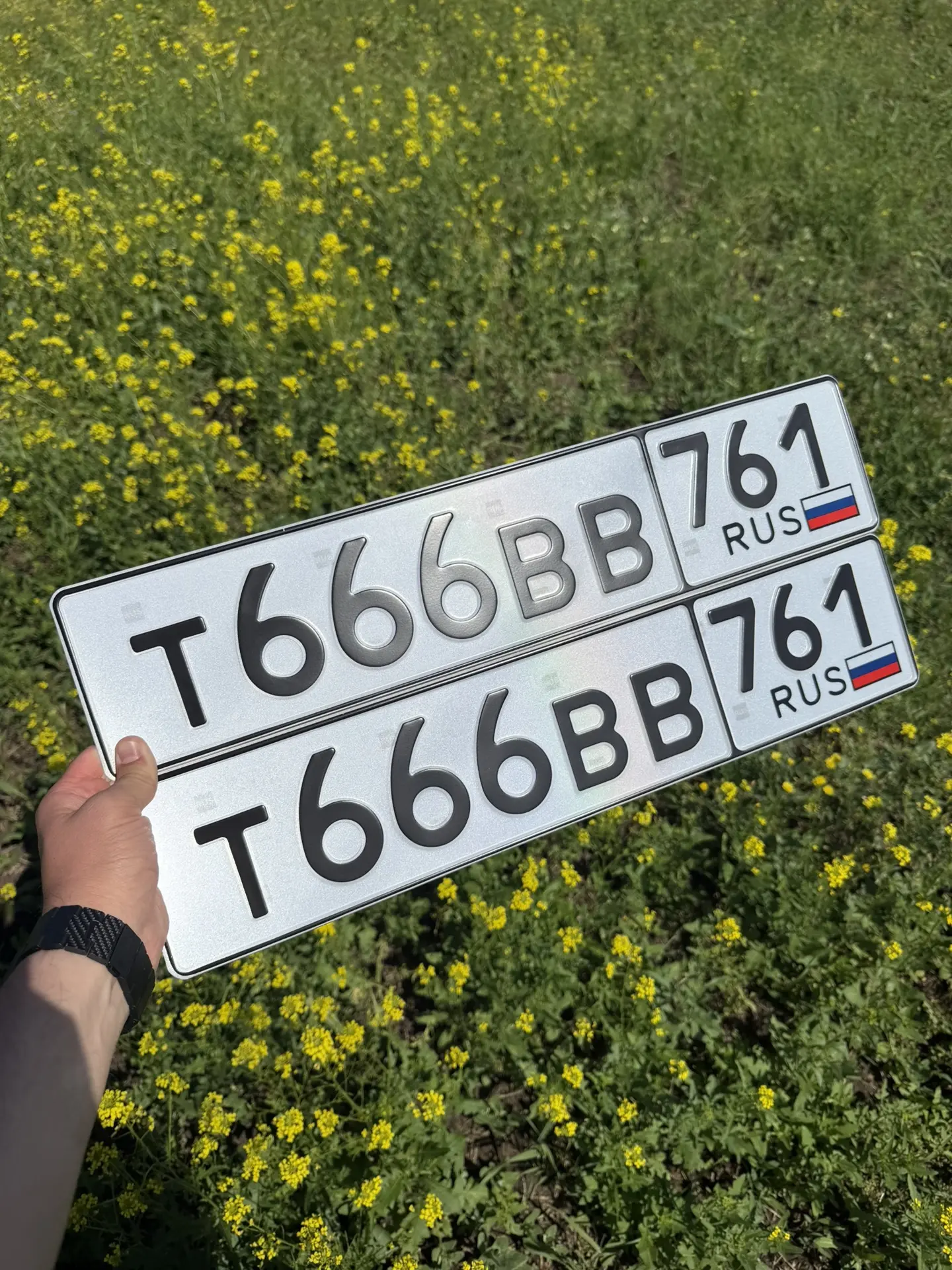 +79081717171
