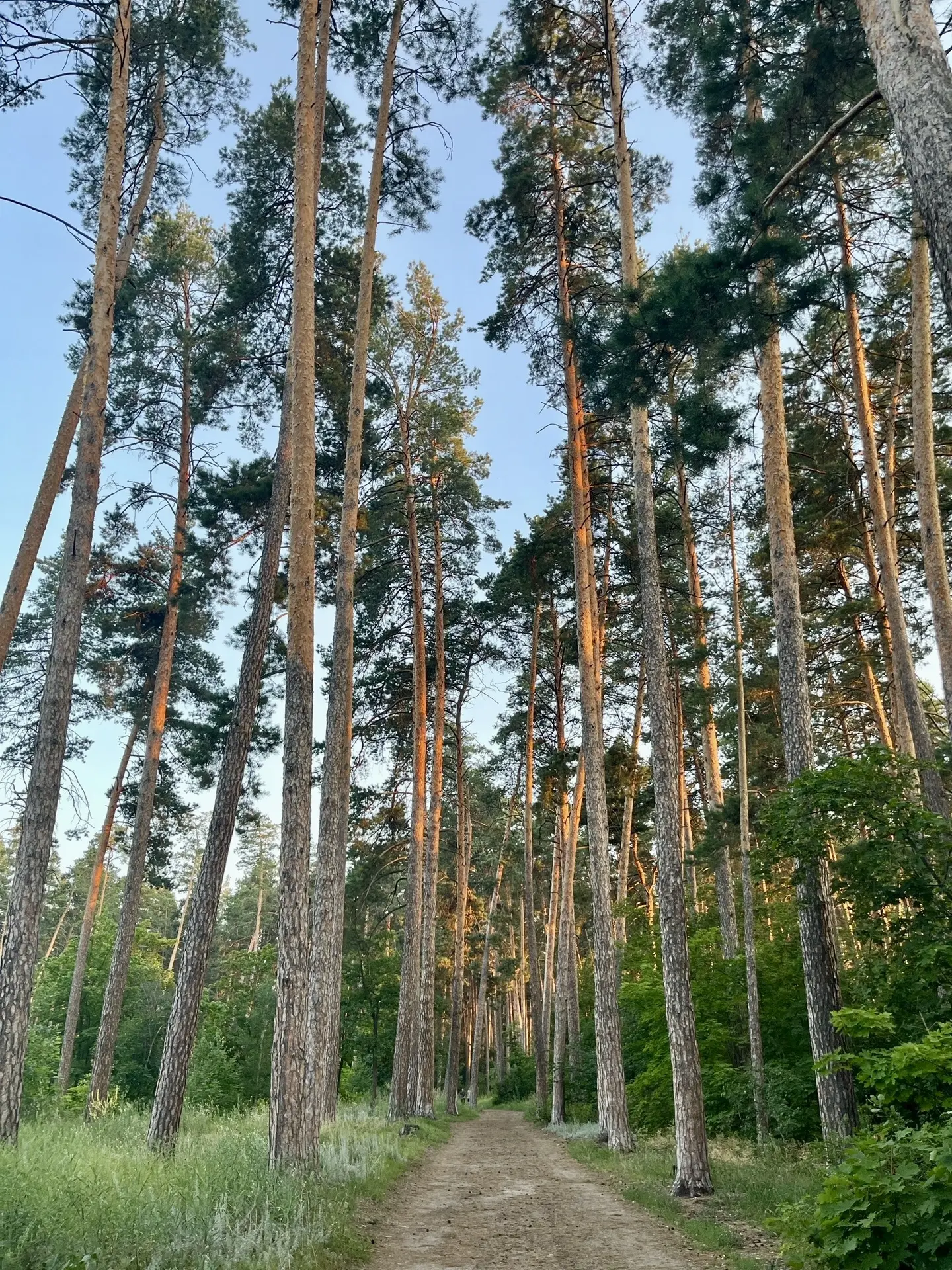 ☀️ Лето не сдаёт позиций: в Тольятти до +30°C

Во вторник жителей города ждёт по-летнему тёплая пого